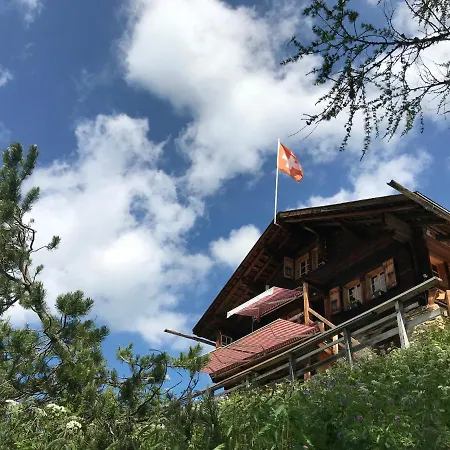 Berghaus Laubbargli *
