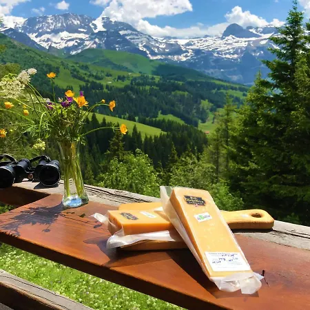 Berghaus Laubbargli Lenk