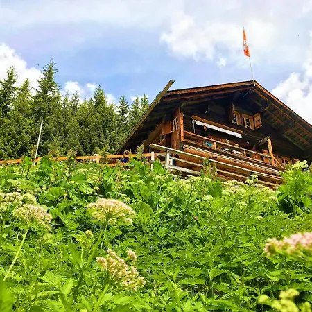 Penzion Berghaus Laubbargli Lenk