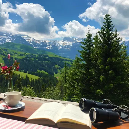 Berghaus Laubbargli Inn Lenk