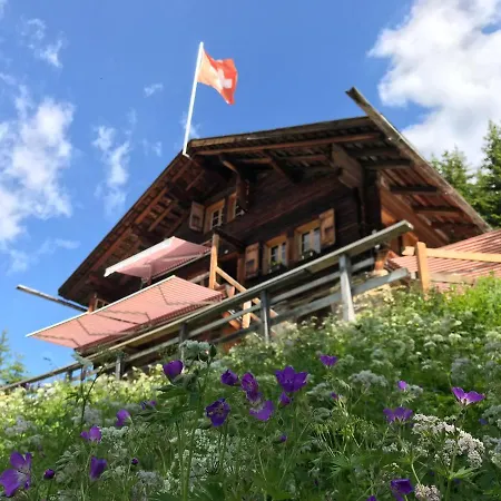 Berghaus Laubbargli Lenk