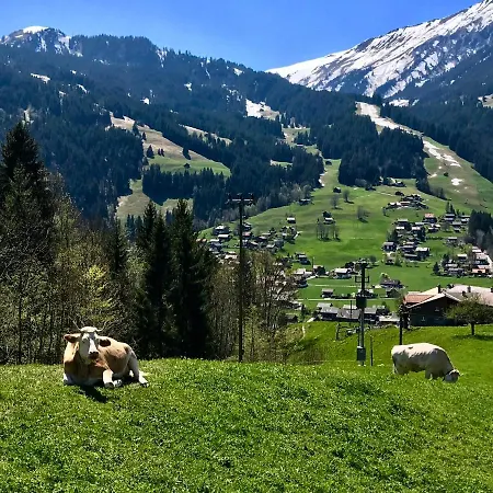 Berghaus Laubbargli Lenk