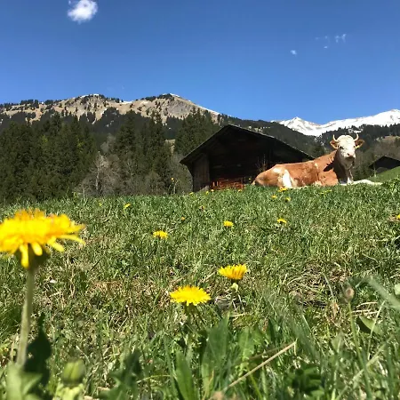 Berghaus Laubbargli *