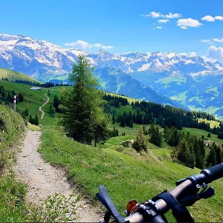 Berghaus Laubbargli Penzion Lenk