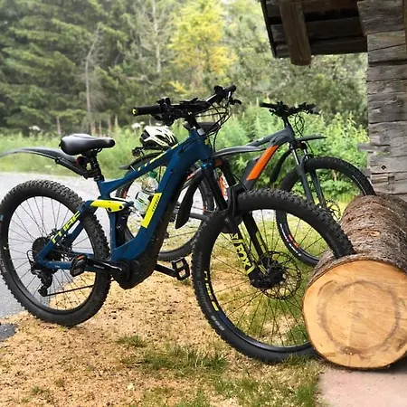 Värdshus Berghaus Laubbargli Lenk